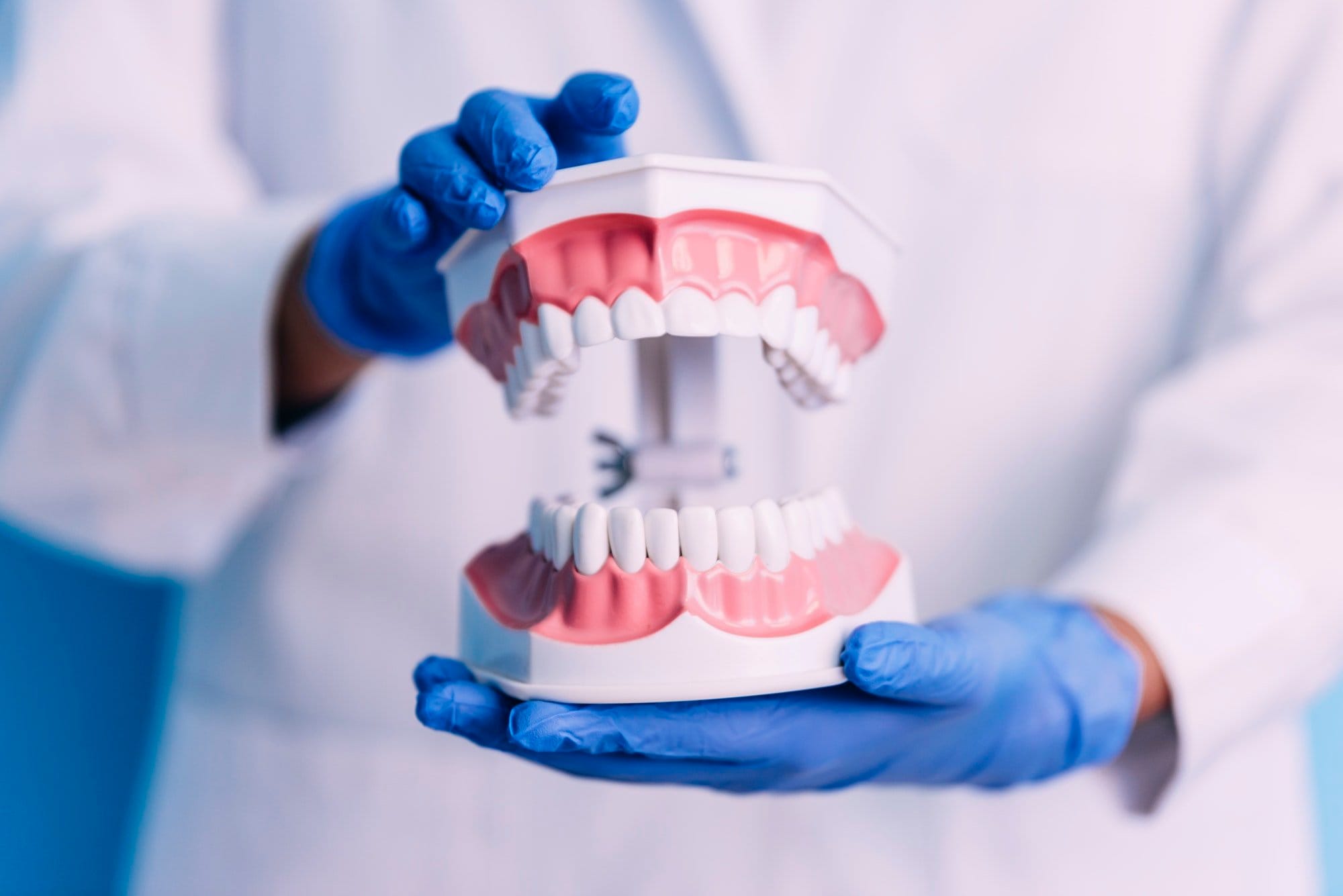 Cosmetic Dentistry In Kota Kinabalu 1 Dental model of jaw
