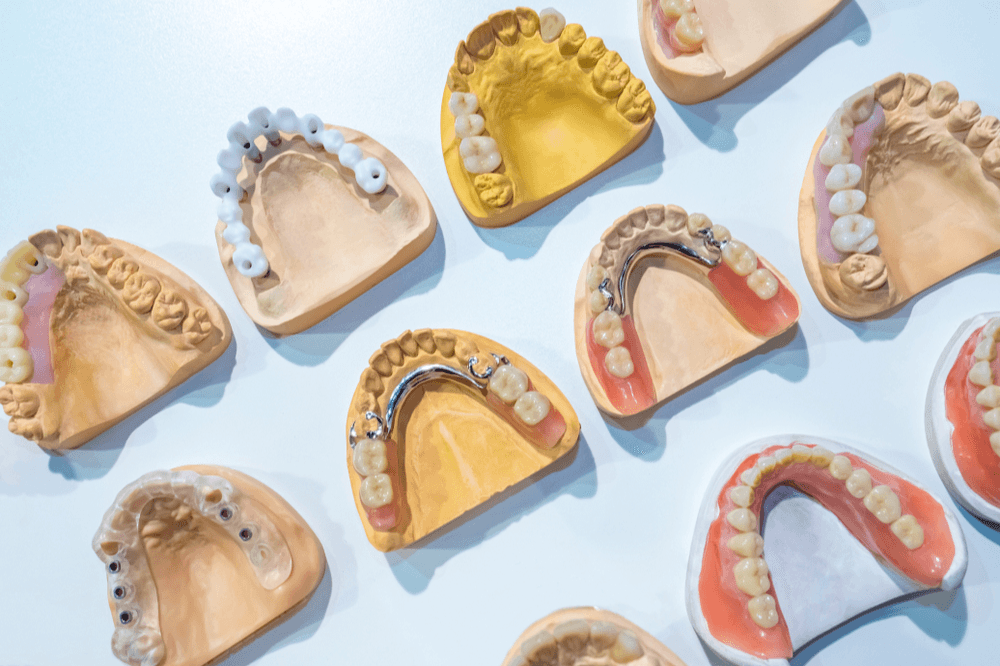 Dentures model