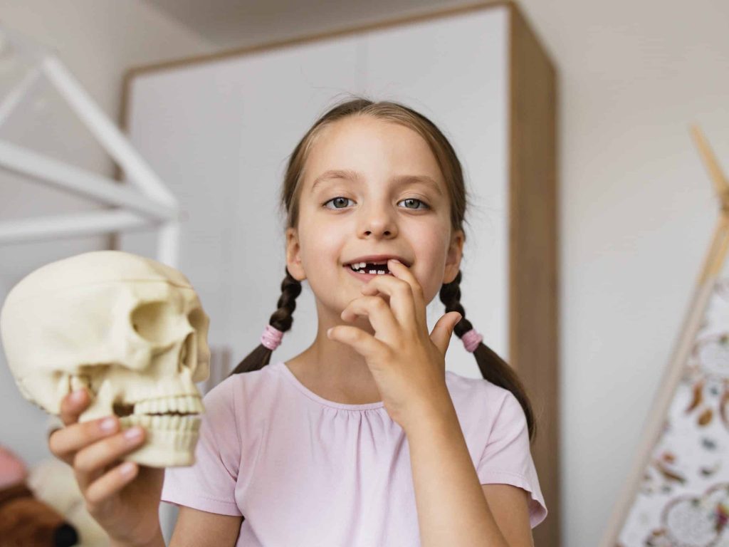 Jaw development